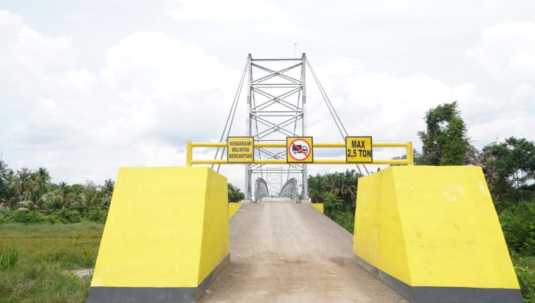 Jembatan Multifungsi dan Tower Seluler Rampung Dibangun, Masyarakat Lubuk Pandan Gelar Tasyakuran